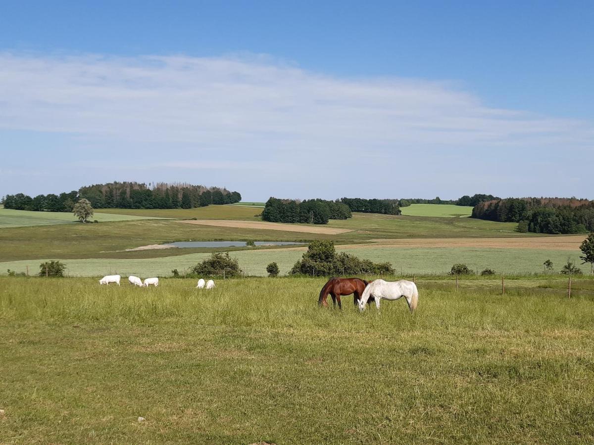 Ubytovani U Krivanku 1 Telc Bagian luar foto
