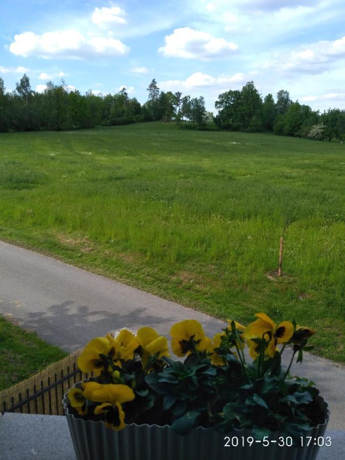 Ubytovani U Krivanku 1 Telc Bagian luar foto