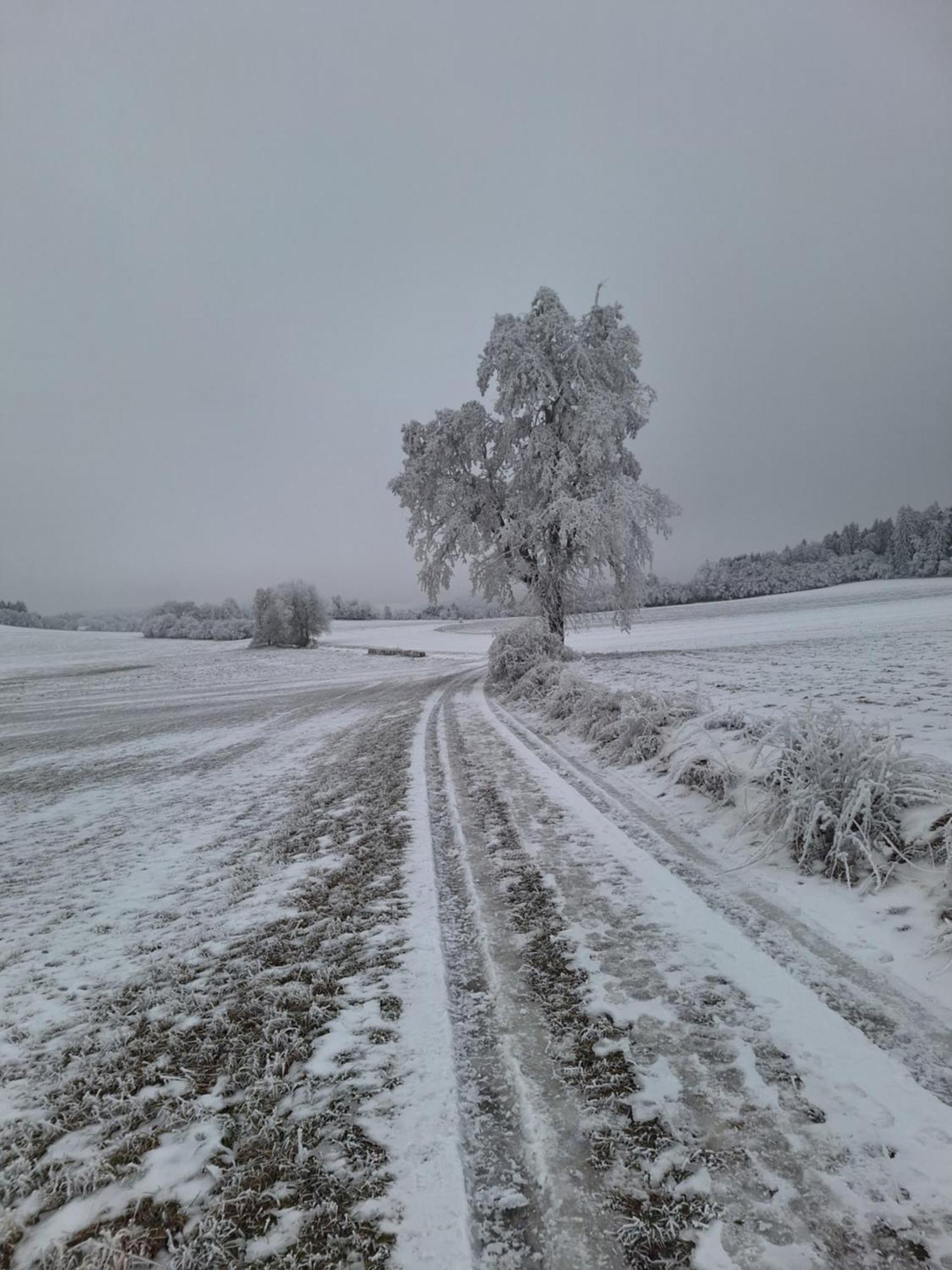 Ubytovani U Krivanku 1 Telc Bagian luar foto