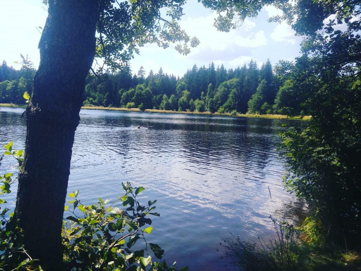Ubytovani U Krivanku 1 Telc Bagian luar foto