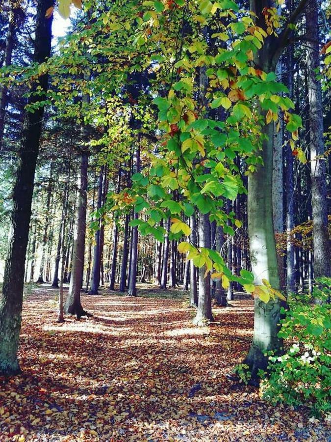 Ubytovani U Krivanku 1 Telc Bagian luar foto