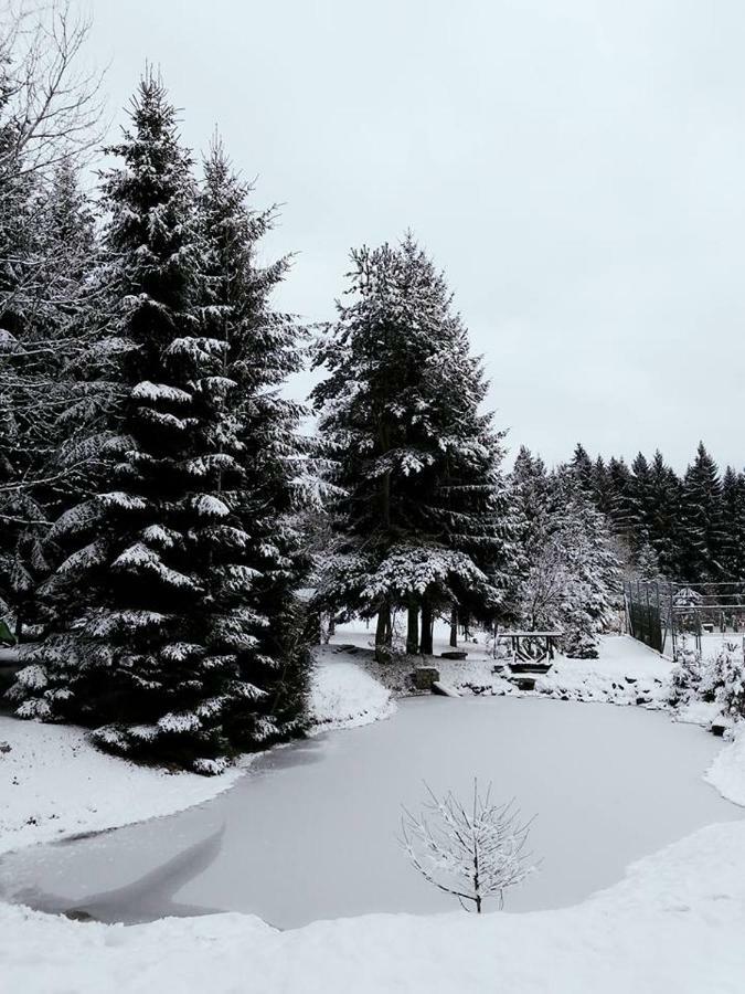 Ubytovani U Krivanku 1 Telc Bagian luar foto